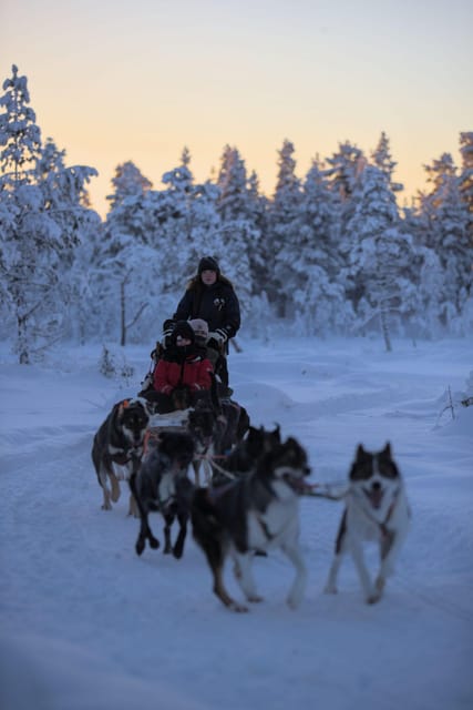 Kiruna: Morning Husky Sled Ride with Coffee Break - Returning Through the Winter Silence