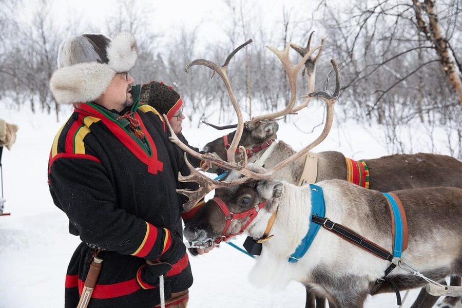 KIRUNA: Sami Reindeer Experience - Who should book this Sami experience?