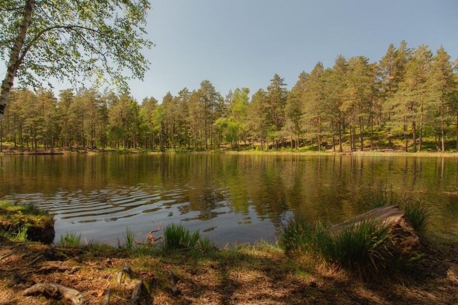 Lake walk and campfire - An Easy Forest Walk Around Sognsvann