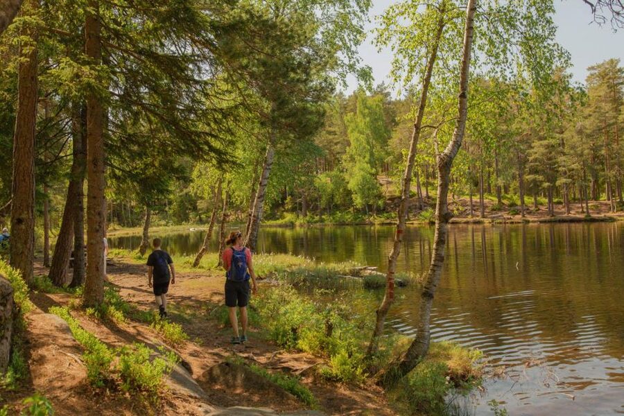Lake walk and campfire - Who Will Like This Oslo Nature Tour?