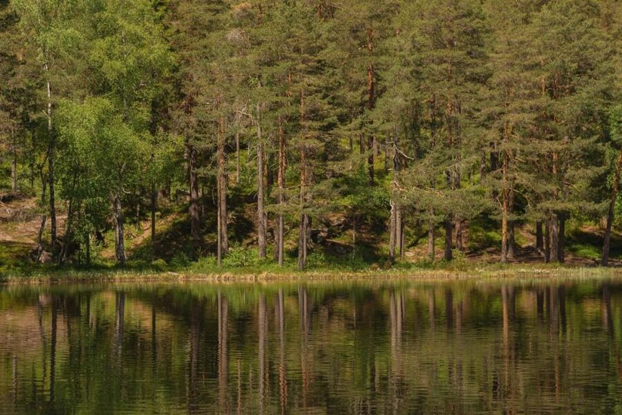 Lake walk and campfire - FAQ