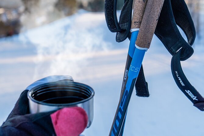 Learn Nordic Skiing - Private Class with Professional Instructor - Who should book this Sognsvann lesson?