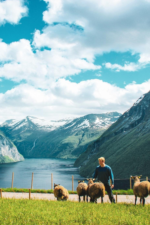 Ljøen, Hellesylt: Ljøen Farm Tour - Coffee, tea, and Norwegian waffles
