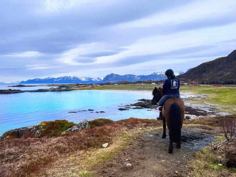Lofoten: Guided Horse Riding Tour Over Hov and Hovsund - Key points to know before you book