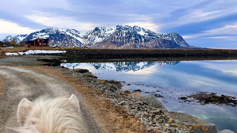 Lofoten: Guided Horse Riding Tour Over Hov and Hovsund - Starting at Hov Gård on Gimsøya