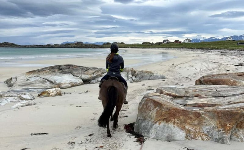 Lofoten: Guided Horse Riding Tour Over Hov and Hovsund - Watching for sea eagles and coastal birds