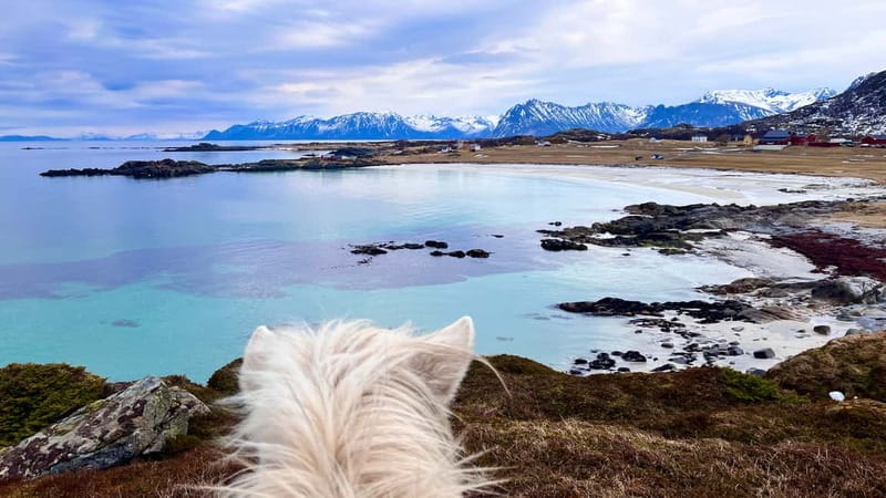 Lofoten: Guided Horse Riding Tour Over Hov and Hovsund - Riding toward Hovsund and its fishing traditions