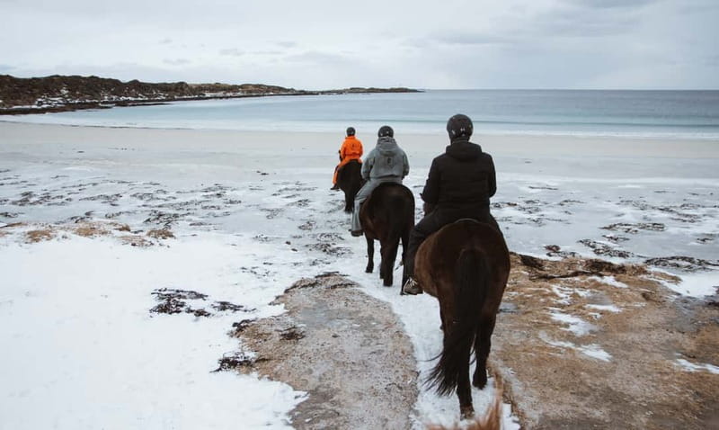 Lofoten: Guided Horse Riding Tour Over Hov and Hovsund - Viking remains along the route