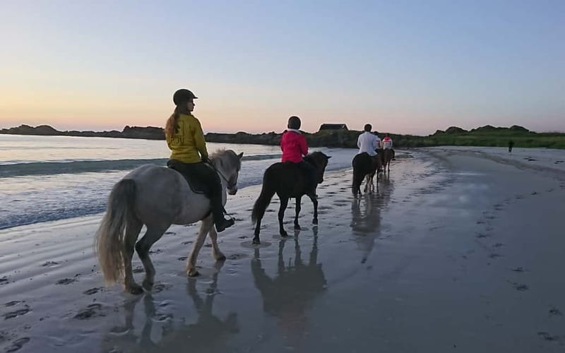 Lofoten: Guided Horse Riding Tour Over Hov and Hovsund - Who will enjoy this ride most