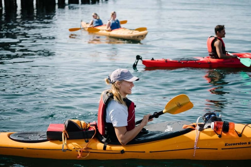 Lofoten: Guided Kayak Experience - Starting at Sjømannsgata 5 in Svolvær