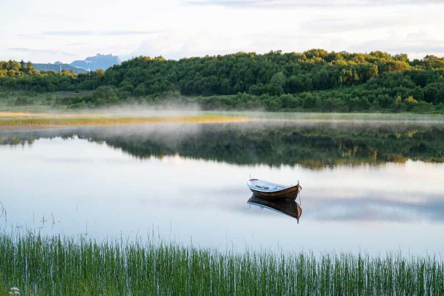 Lofoten: Half-Day Guided Tour with Photo Stops - Why a small van makes sense here