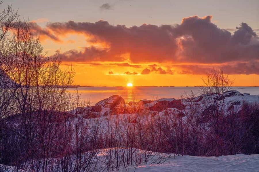 Lofoten: Half-Day Guided Tour with Photo Stops - What the tour is worth