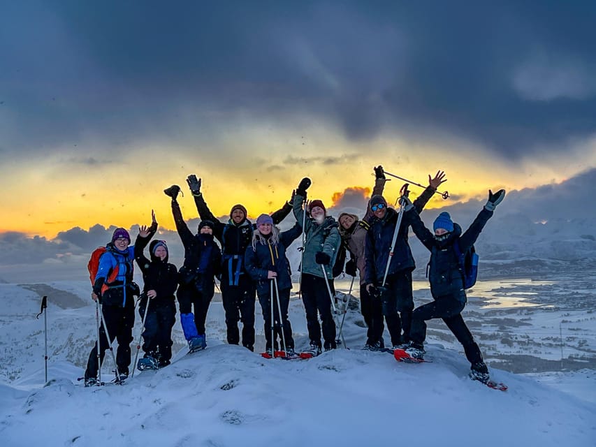 Lofoten: Half Day Snowshoe Tour - Key points to know before booking