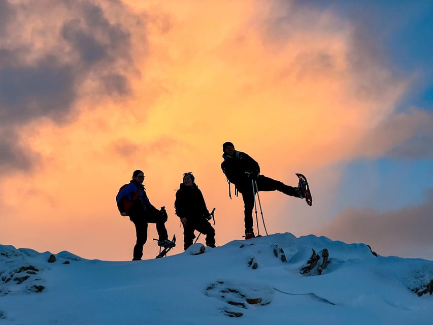 Lofoten: Half Day Snowshoe Tour - Why this snowshoe tour works in Lofoten