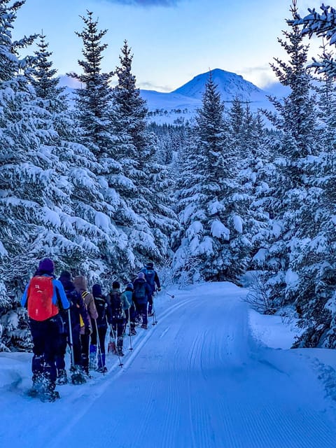 Lofoten: Half Day Snowshoe Tour - Weather, clothing, and comfort