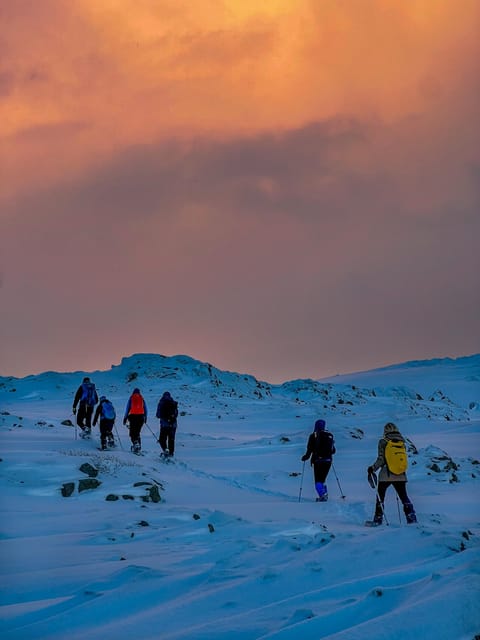Lofoten: Half Day Snowshoe Tour - Meeting near Eggum and getting set up
