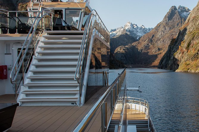 Lofoten Island: Silent Trollfjord Cruise from Svolvær - The underwater drone is an unusual extra