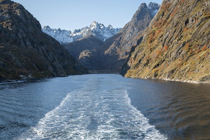 Lofoten Island: Silent Trollfjord Cruise from Svolvær - What you can buy onboard