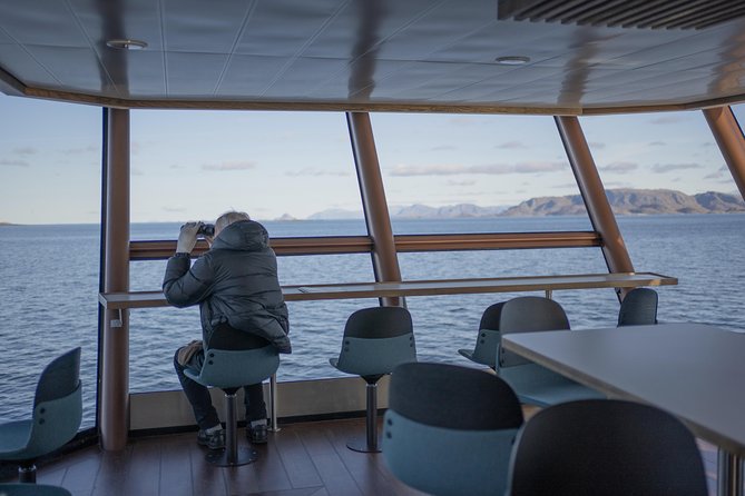 Lofoten Island: Silent Trollfjord Cruise from Svolvær - Is the $144.34 price good value?
