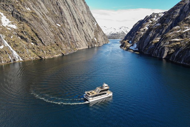 Lofoten Island: Silent Trollfjord Cruise from Svolvær - Timing, weather, and the best place to sit