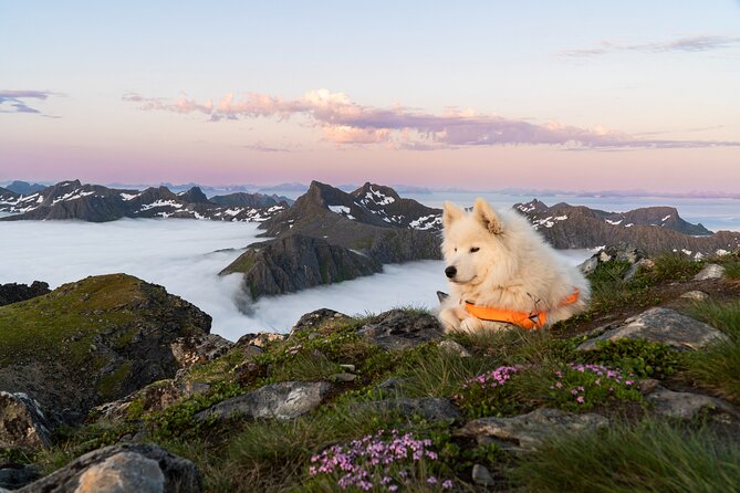 Lofoten Islands: Hiking Into the Wilderness - Clothing, Food, and Weather Matter Here