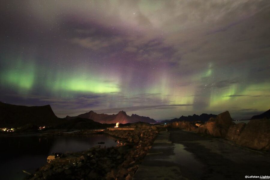 Lofoten: Northern Lights Tour with Photographer - Key points at a glance
