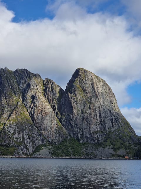 Lofoten: Reine, Hamnøy, and Skariskøya Photo Tour - Is $161 good value?