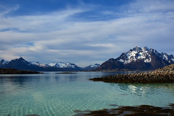 Lofoten RIB Sea Eagle Safari and Trollfjord Cruise - Should you book the Trollfjord RIB safari?
