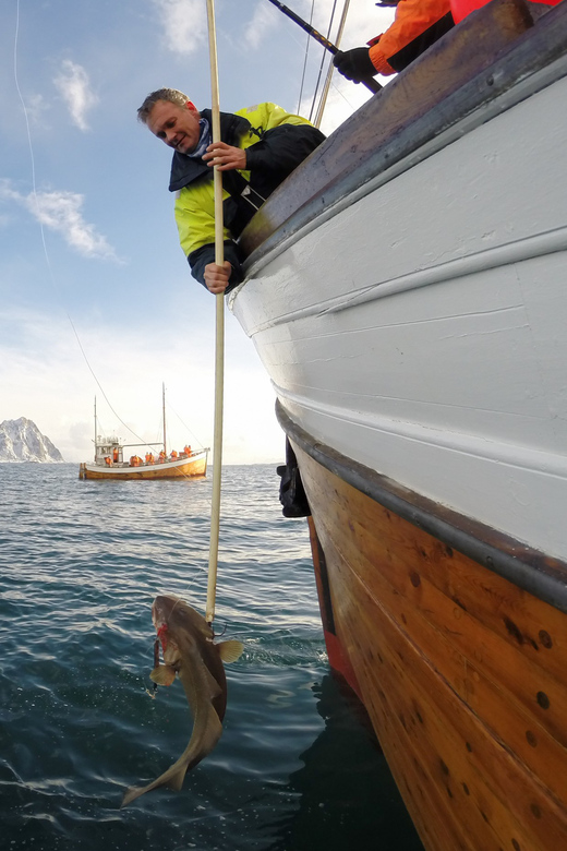 Lofoten: Traditional Fishing Trip - Why the MS Symra makes this more than a fishing charter