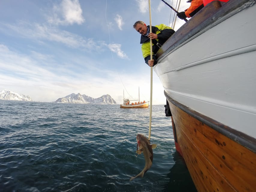 Lofoten: Traditional Fishing Trip - Four hours from introduction to filleting