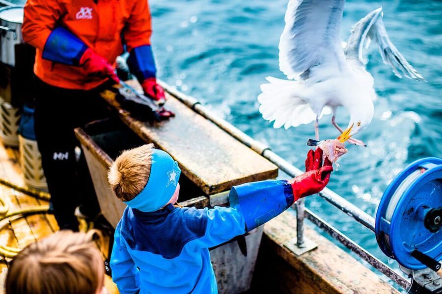 Lofoten: Traditional Fishing Trip - Fish, seasons, and realistic expectations