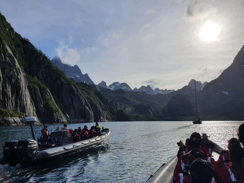 Lofoten: Trollfjord Sea Eagle Safari by RIB Boat - Key points before you book