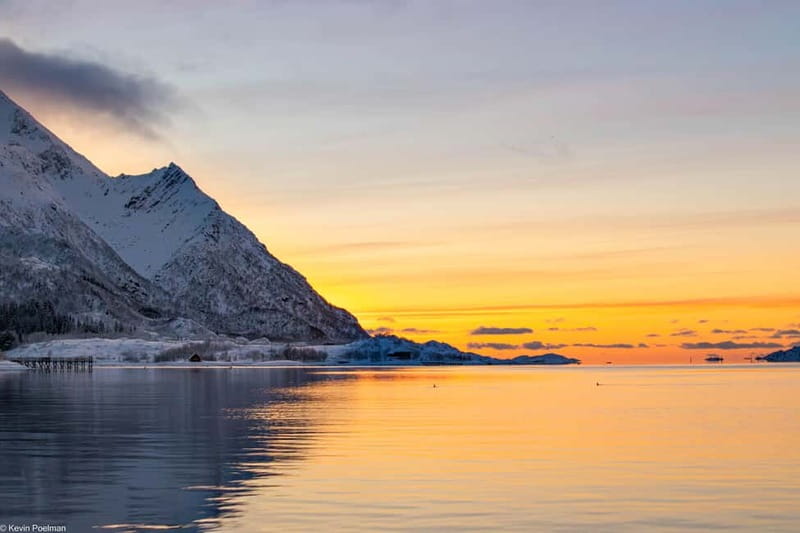 Lofoten: Trollfjord Sea Eagle Safari by RIB Boat - Who should book this tour