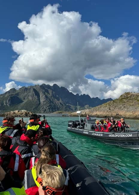 Lofoten: Trollfjord Sea Eagle Safari by RIB Boat - Viking sites and local stories