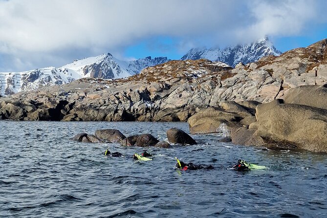 Lofoten Unique Snorkeling Experience in Dry Suit - Floating above Lofoten’s kelp forests