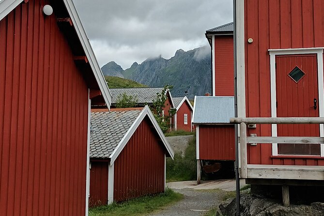 Lofoten VIP PRIVATE Tour from Leknes city / port - Reinehalsen is the big fjord panorama