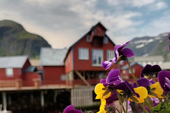 Lofoten VIP PRIVATE Tour from Leknes city / port - Flakstad Church brings a little local history