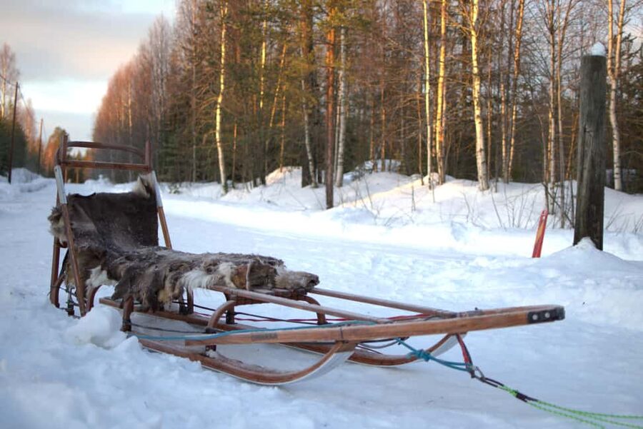 Luleå: Guided Dog Sledding Tour - Who will enjoy this Luleå husky tour