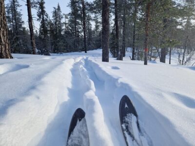 Luleå: Nordic Touring Skiing Adventure