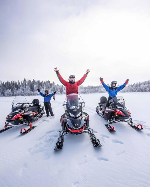 Luleå : Snowmobile - Forest and Ice Nature Tour 2h - Key points to know before you book