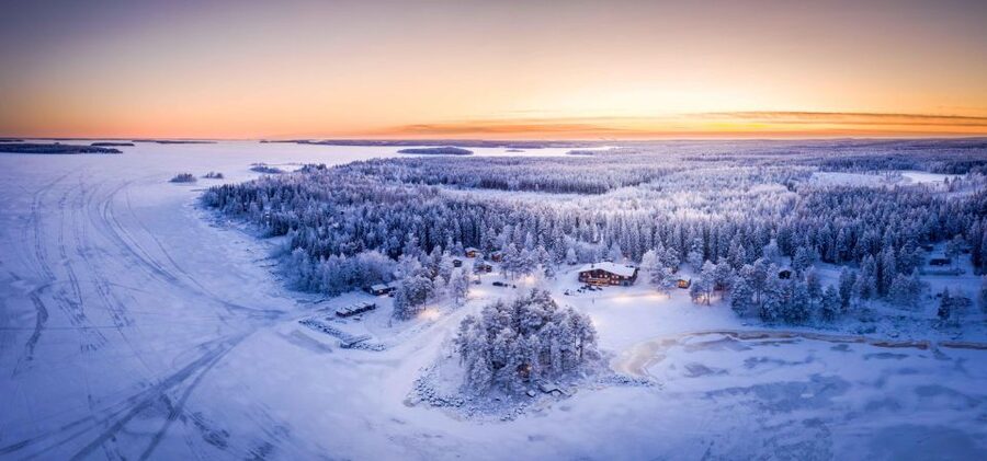 Luleå : Snowmobile - Forest and Ice Nature Tour 2h - Riding beyond Luleå’s winter streets