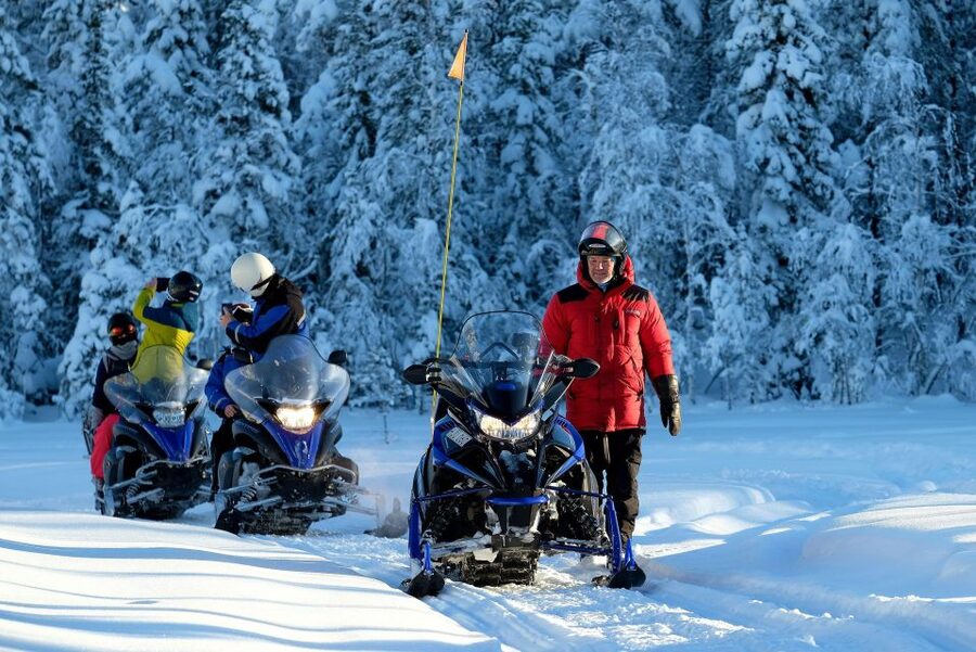 Luleå : Snowmobile - Forest and Ice Nature Tour 2h - The lodge option turns this into a half-day outing