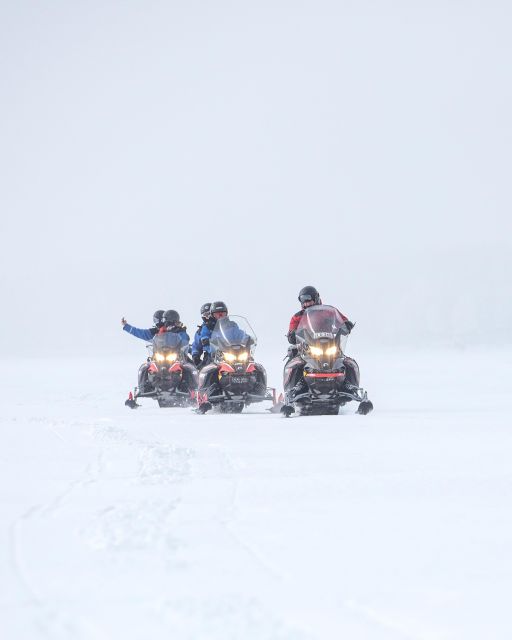 Luleå : Snowmobile - Forest and Ice Nature Tour 2h - How the activity suits different kinds of visitors