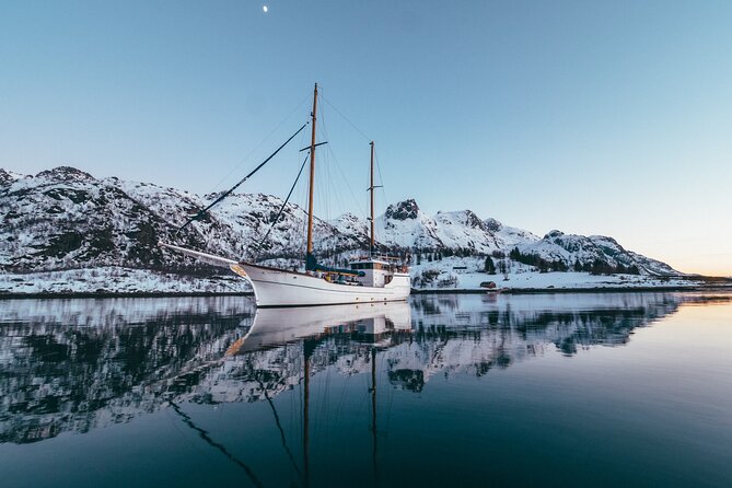 Luxury Northern Lights Yacht Cruise with Hot Tub from Tromsø - The reindeer soup is part of the value