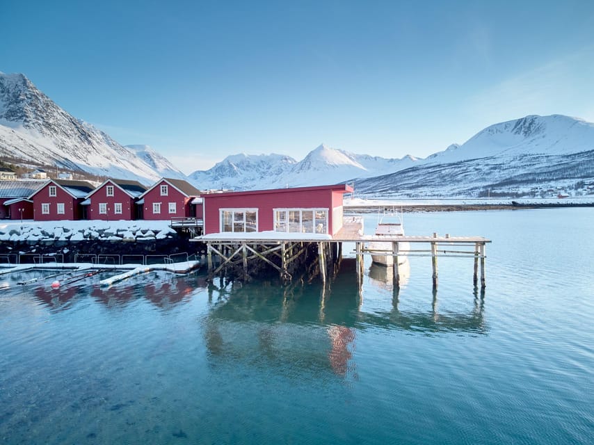 Lyngen: Snowmobile Safari with Lunch in seaside Restaurant - Is $293 a fair price?