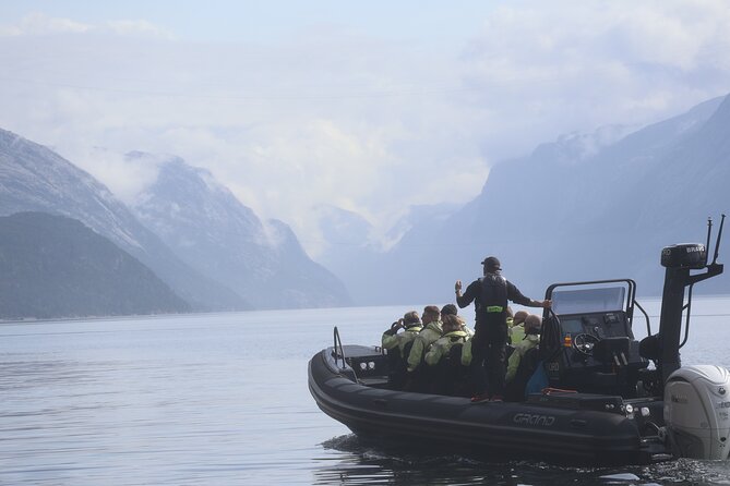 Lysefjord RIB Safari from Stavanger - From Stavanger harbor to open-water speed