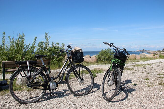 Malmo Bike Rental - Who will get the most from this rental