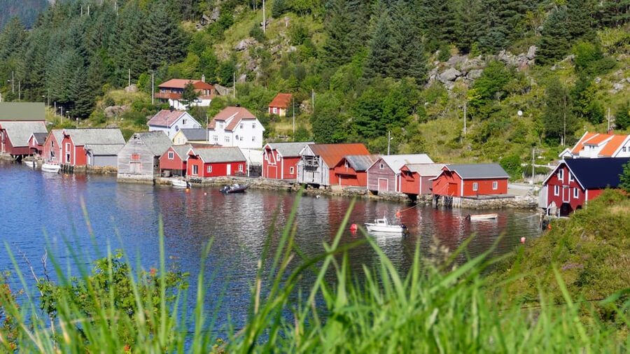 Måløy: Electric Minibus Tour to Kannesteinen - Who should book this Vågsøy excursion?
