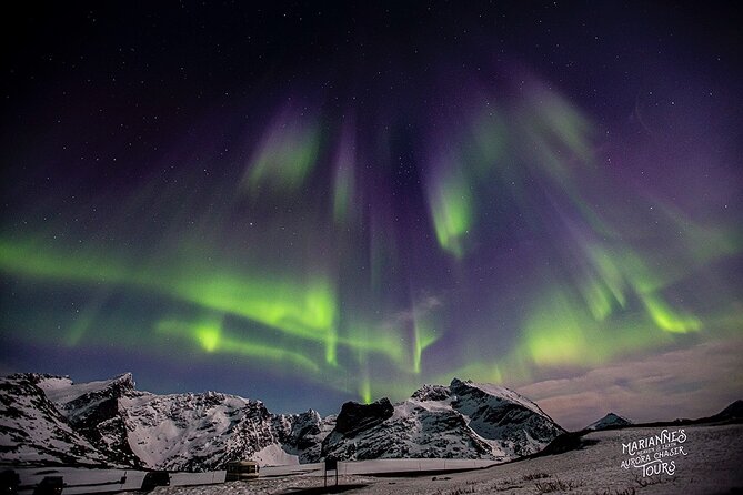 Marianne’s Heaven On Earth Aurora Chaser Tours - What the photographers add to your night