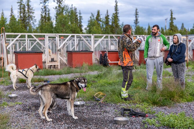 Meet 70 Huskies and Enjoy a short ATV Tour with the Huskies - Meeting Kiruna’s 70 working huskies